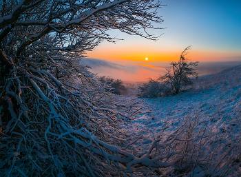 Die November-Schnee / ***