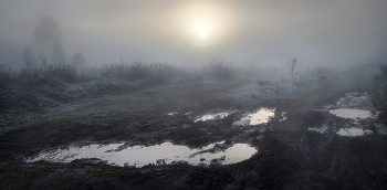 Im Nebel .... / ***