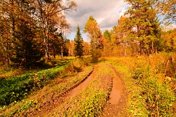 Herbst / ***