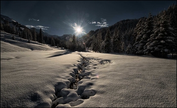 Neuer Schnee / Alp