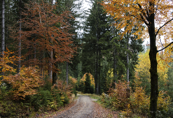 Herbst Wanderung / ***