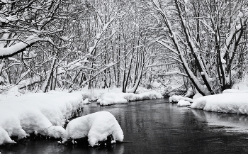 Schnee / ***