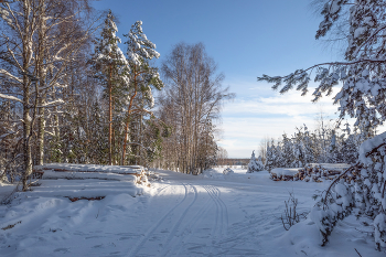 Winterbild / ***