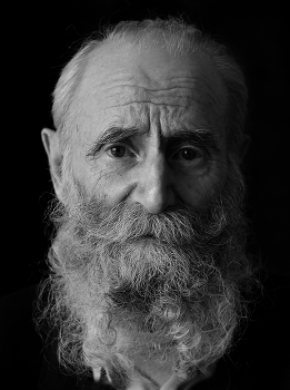 Untitled Portrait / ***