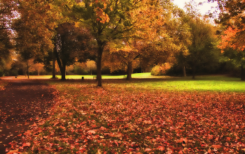 über Herbst / ***