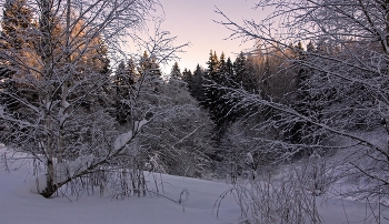 Morgendämmerung / ***