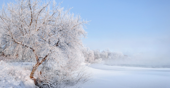 Frost und Sonne / ***