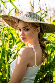  / ***