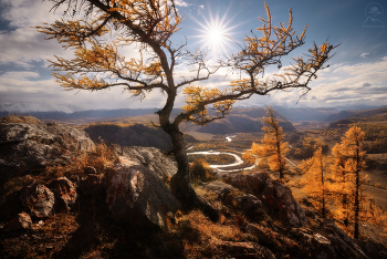 Autumn Altai / ***