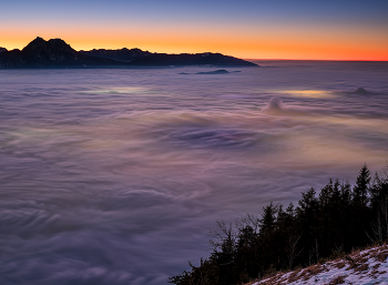 Nebelmeer / Nebelmeer