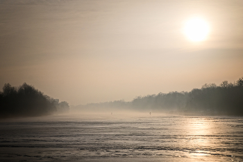 Winter / ***