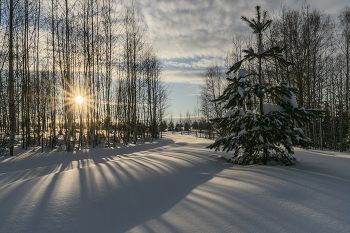 Sonnenuntergang im Winter / ***