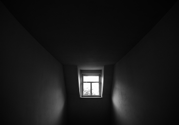 / ***