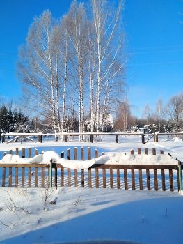 Wintersonne / ***