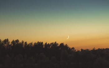 Sommernacht / ***