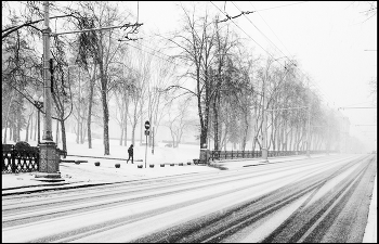 Winter / ***
