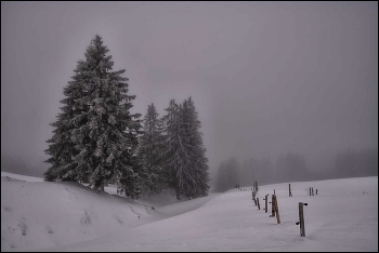 Februarschnee / Berge