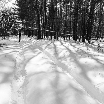 Barrier / ***