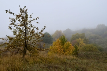 Oktober / ***