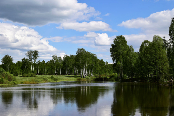 Old pond / ***