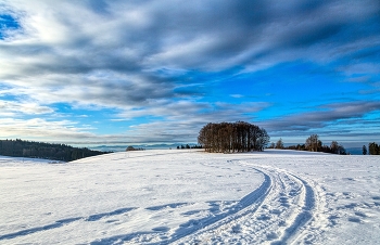 gespurt / Spuren im Schnee