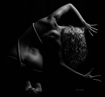 Körper / Many thanks to the generous people who donate to my art. (I can sign a permission for commercial use.)