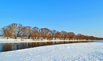 sunny day / ***