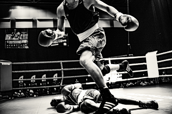 Knockout / ***