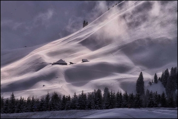 Schneegestöber / Naturpark