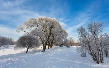 Im Winter Park ... / ***