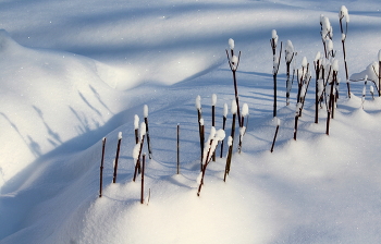 Winter-Etüde. / ***