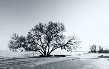 Winter am See / ***