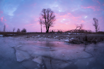 Februar-Morgen / ***