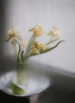 Verwelken ... / ...........................