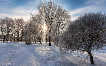 Im Winter Park ... / ***