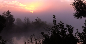 Dort, hinter dem Nebel ... / ***