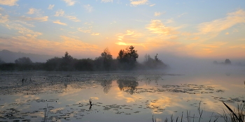 Herbstmorgen. / ***