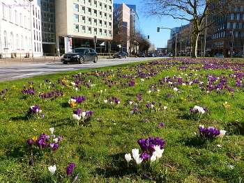 Hamburg / https://www.youtube.com/watch?v=JYadETNgWMY
https://www.youtube.com/watch?v=IMdWgQNK_Ts
https://www.youtube.com/watch?v=7FteDQbgcSo
https://www.youtube.com/watch?v=KTC7lcq_V6g
https://www.youtube.com/watch?v=dNOCQPn2sZA
https://www.youtube.com/watch?v=YIZZSauDE3w
https://www.youtube.com/watch?v=tKJmmXxh-1U&t=8s
https://www.youtube.com/watch?v=glVWjqRqZr0
https://www.youtube.com/watch?v=kJVKlWcQxCg
https://www.youtube.com/watch?v=_Q7gRXGUa5A
https://www.youtube.com/watch?v=2jSTxDgGqsI