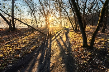 Morgendämmerung / ***