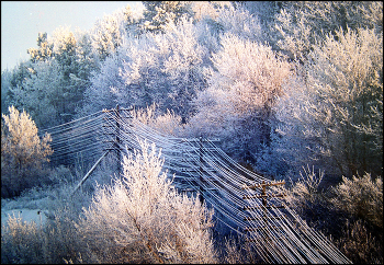 Nebel zerstreut / ***