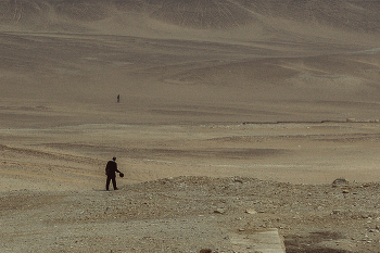  / egypt2019