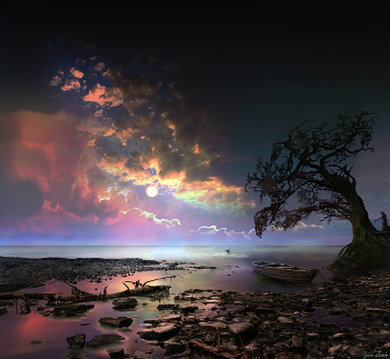 Wild Coast / ***