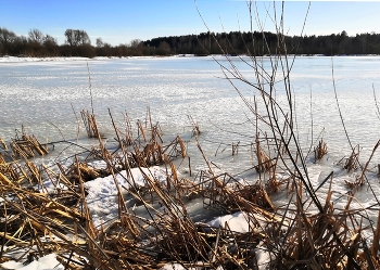 Pano Frühling / ***