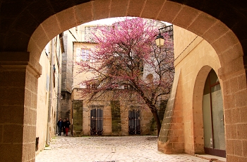 Patio / ***