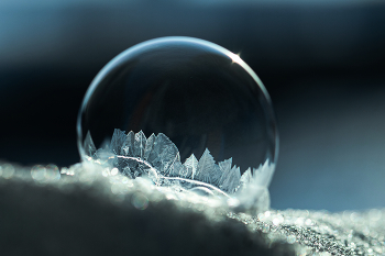 Blase / ***