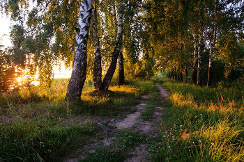  / ***