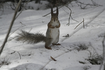 Was hat es? / " " "