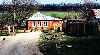 sunny day / ***