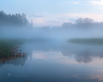 Nebel nach dem regen / ***
