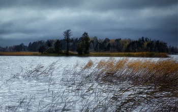 Wind / ***